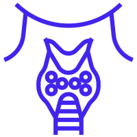 thyroid